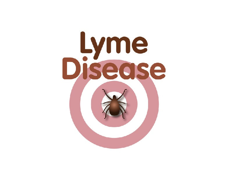 Lyme Disease is Everywhere!  How to Prevent, Detect and Treat!